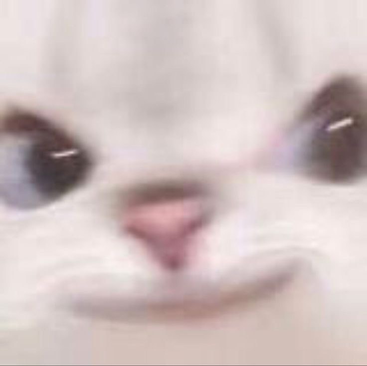 랑 구