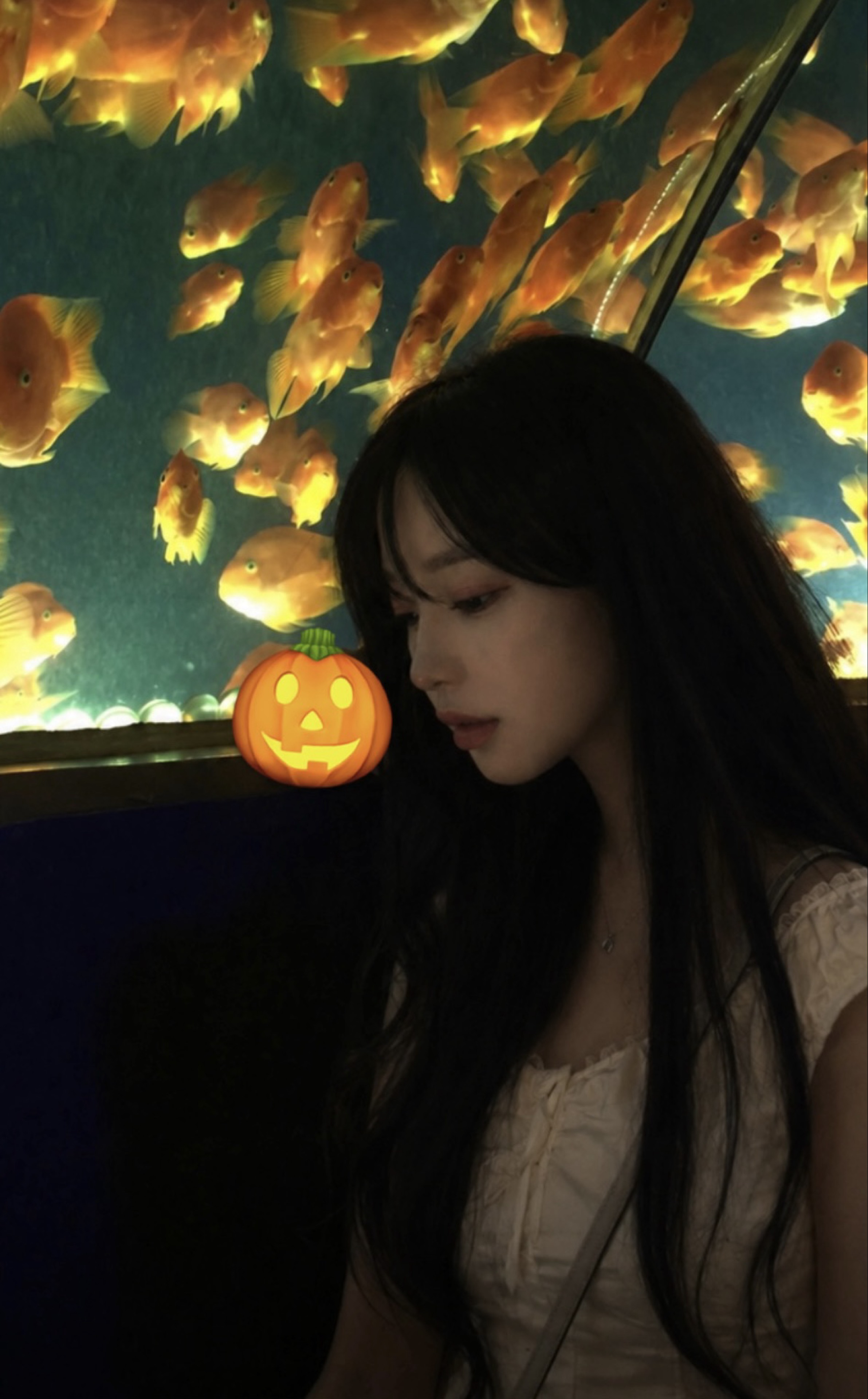 ‎ܤ 율잔정 ʸᵘˡ