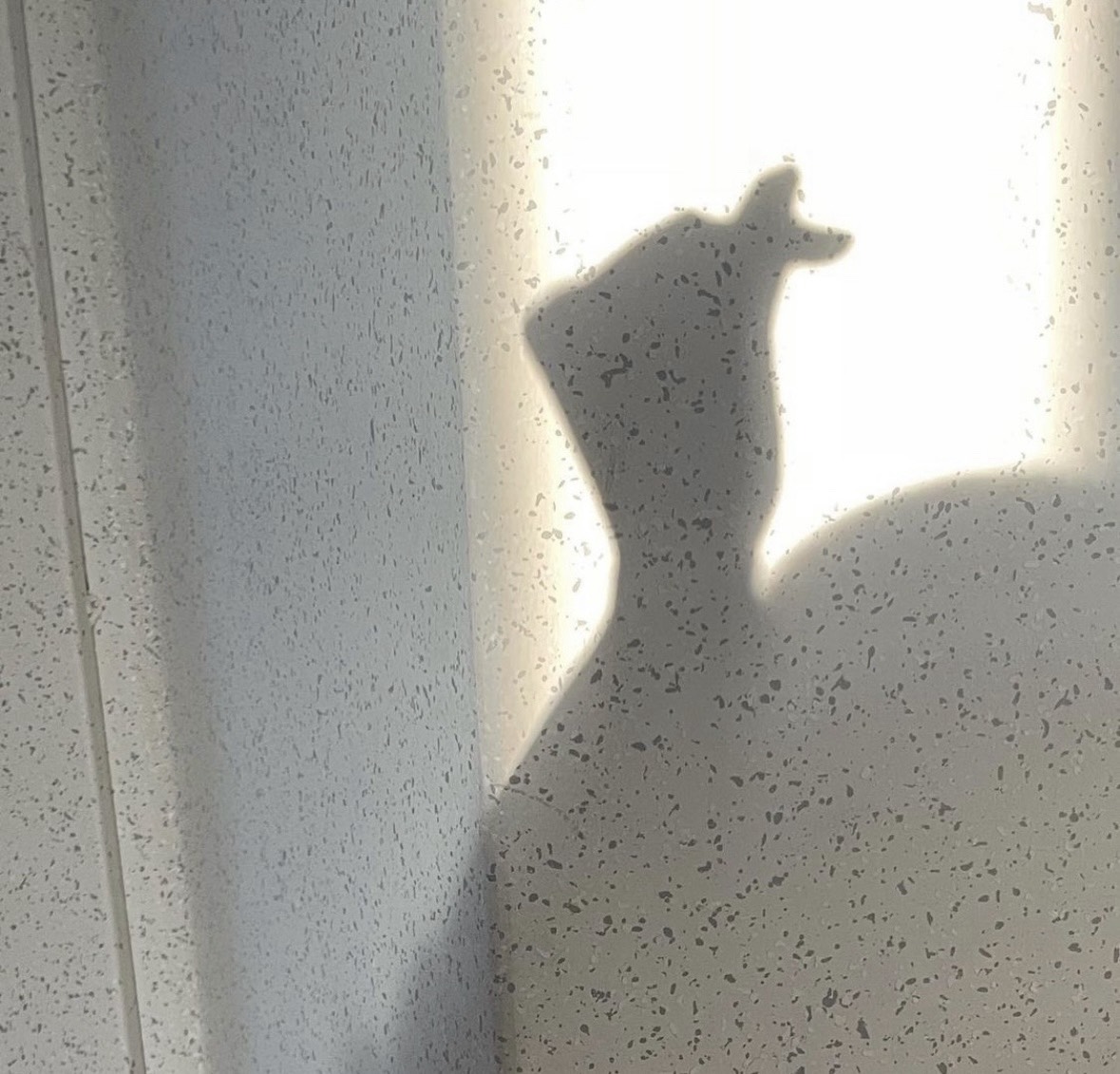 볼리비아