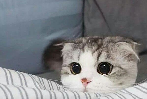 My
