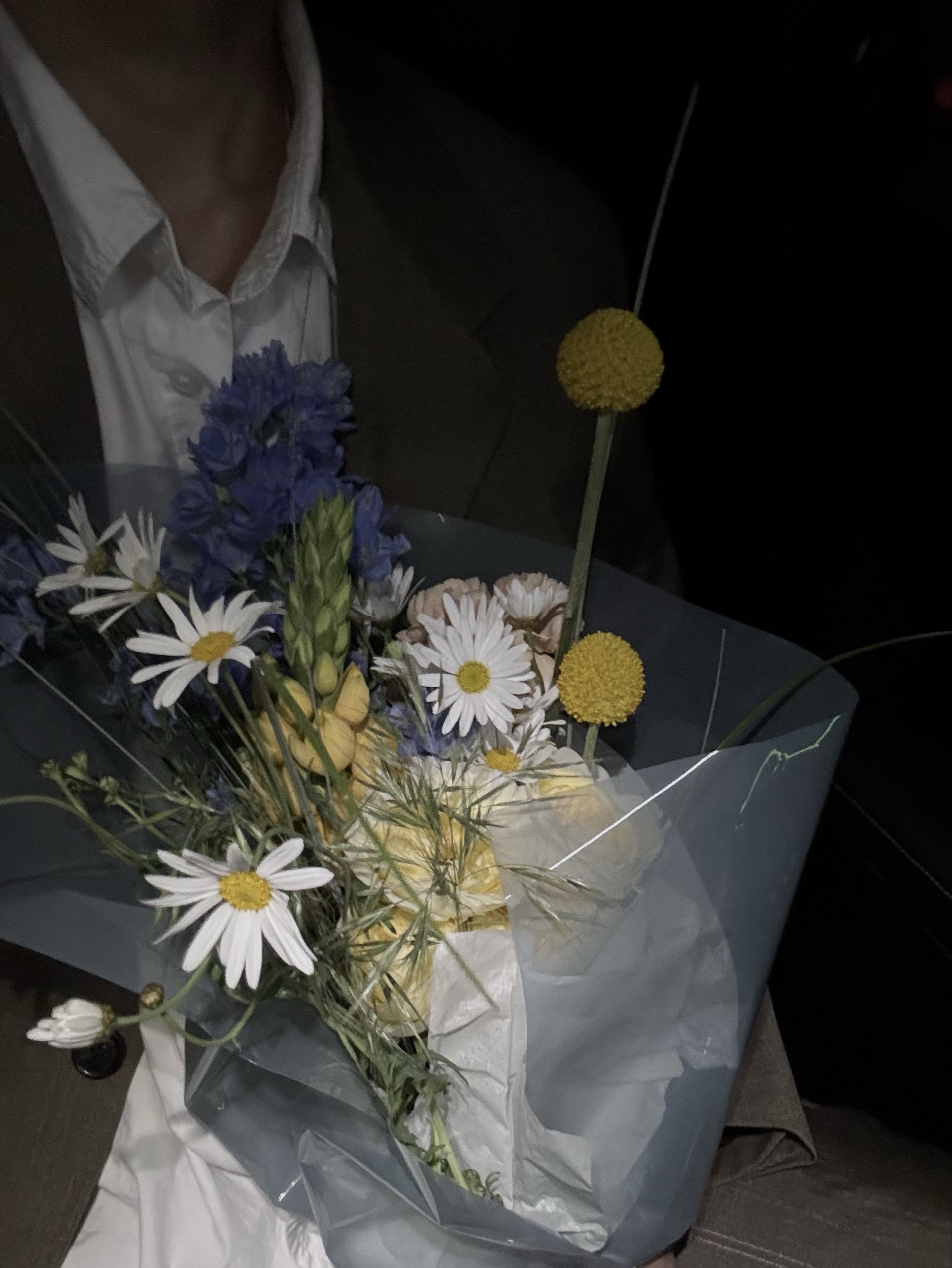 생각하는 먼지