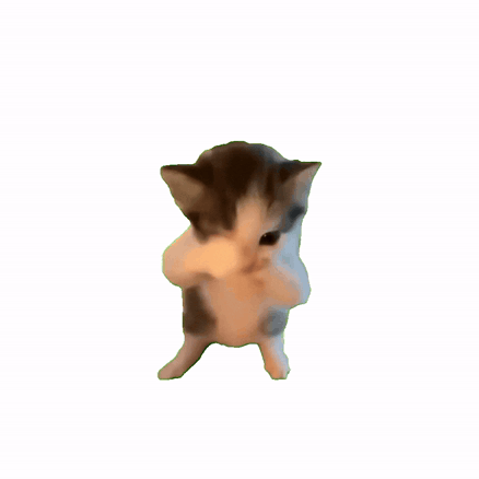 ˗ˏ🌙 𝗄𝗂𝗆𝖺𝗍𝗈