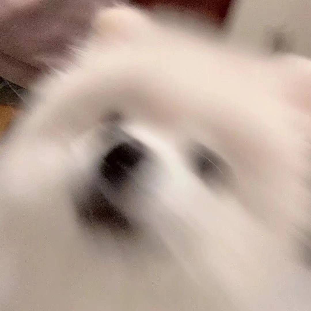 랑 구