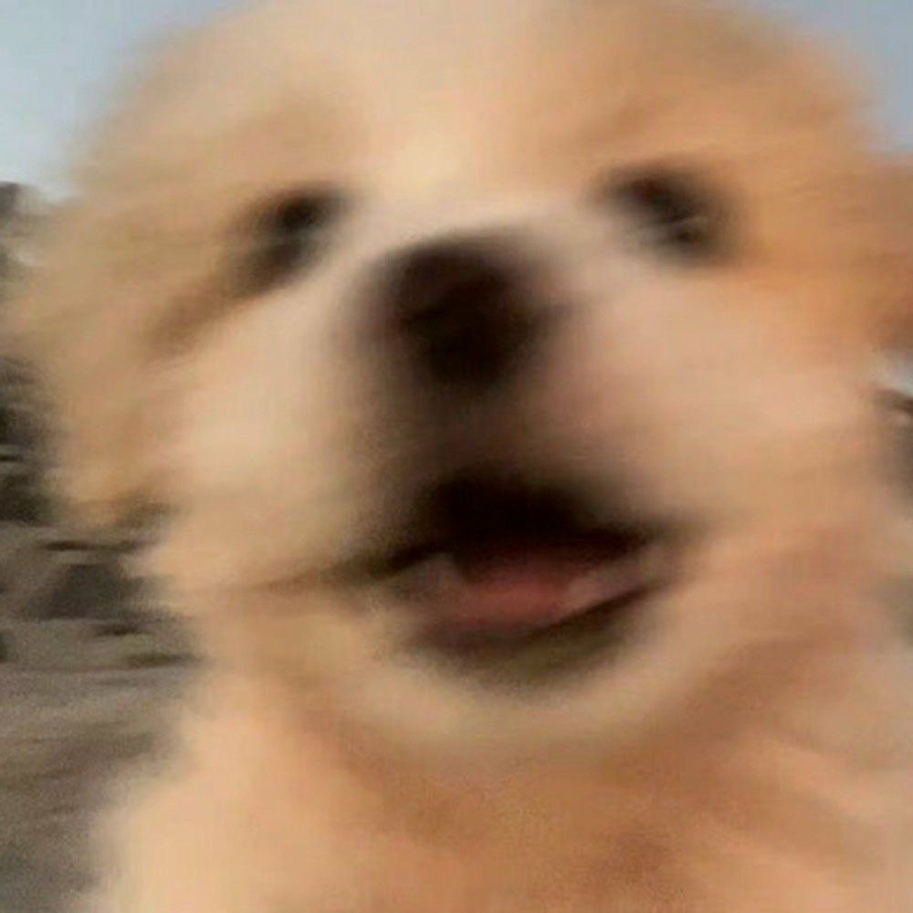랑 구