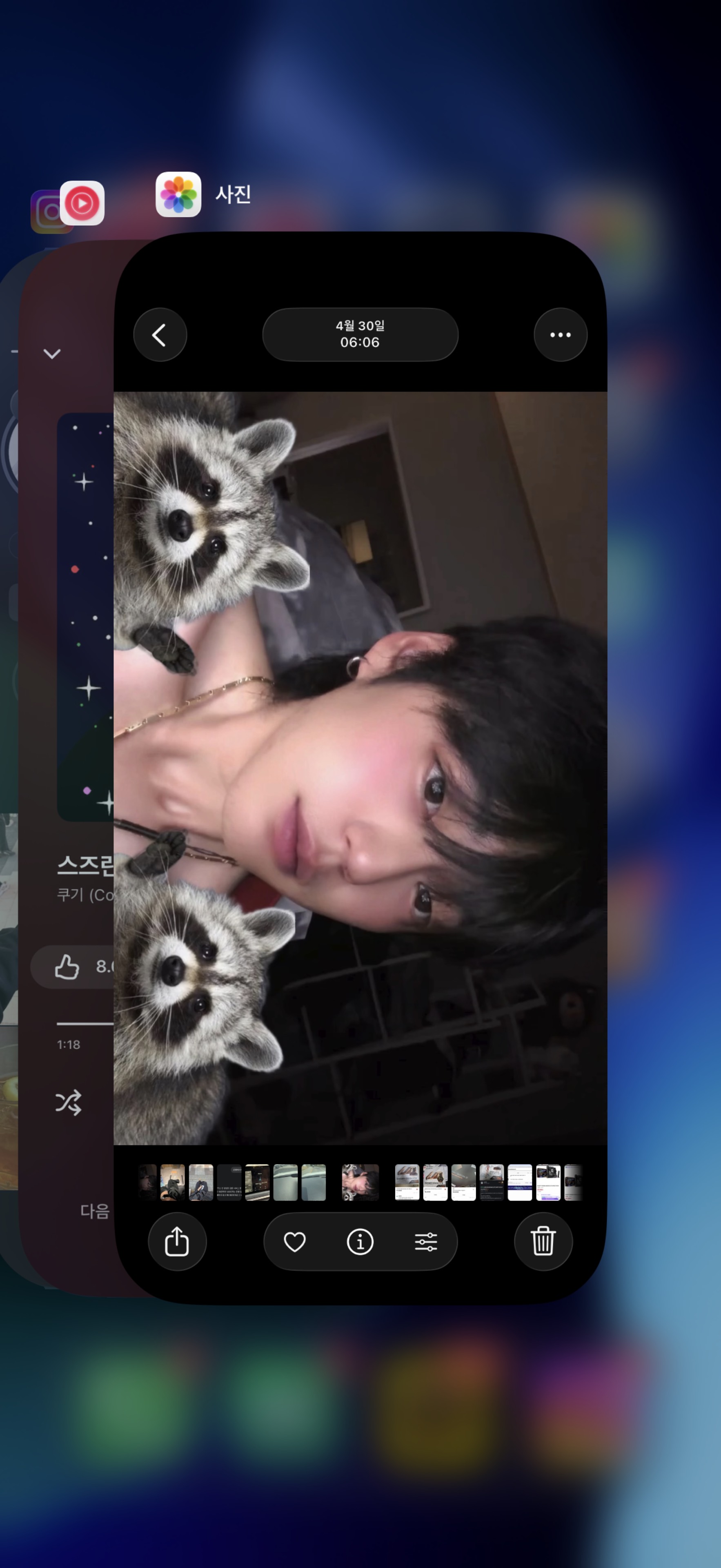 뭘 봐