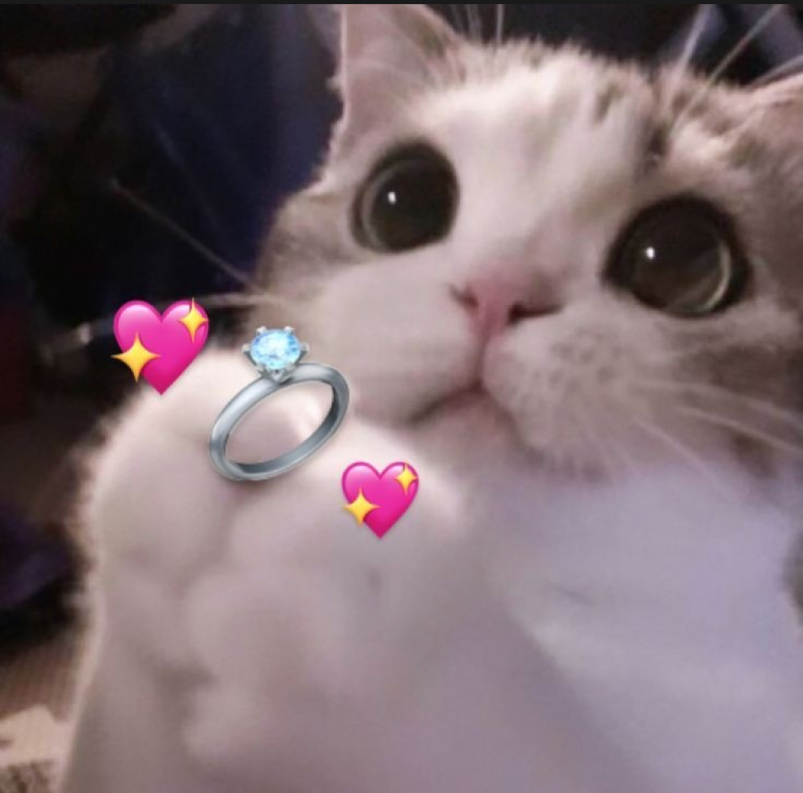 밍