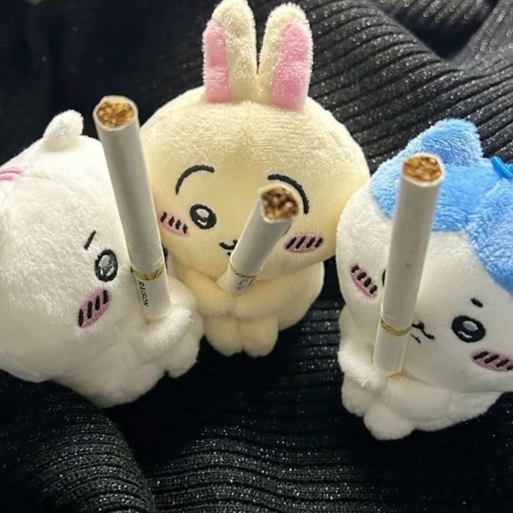 옹심 ࿔₊·