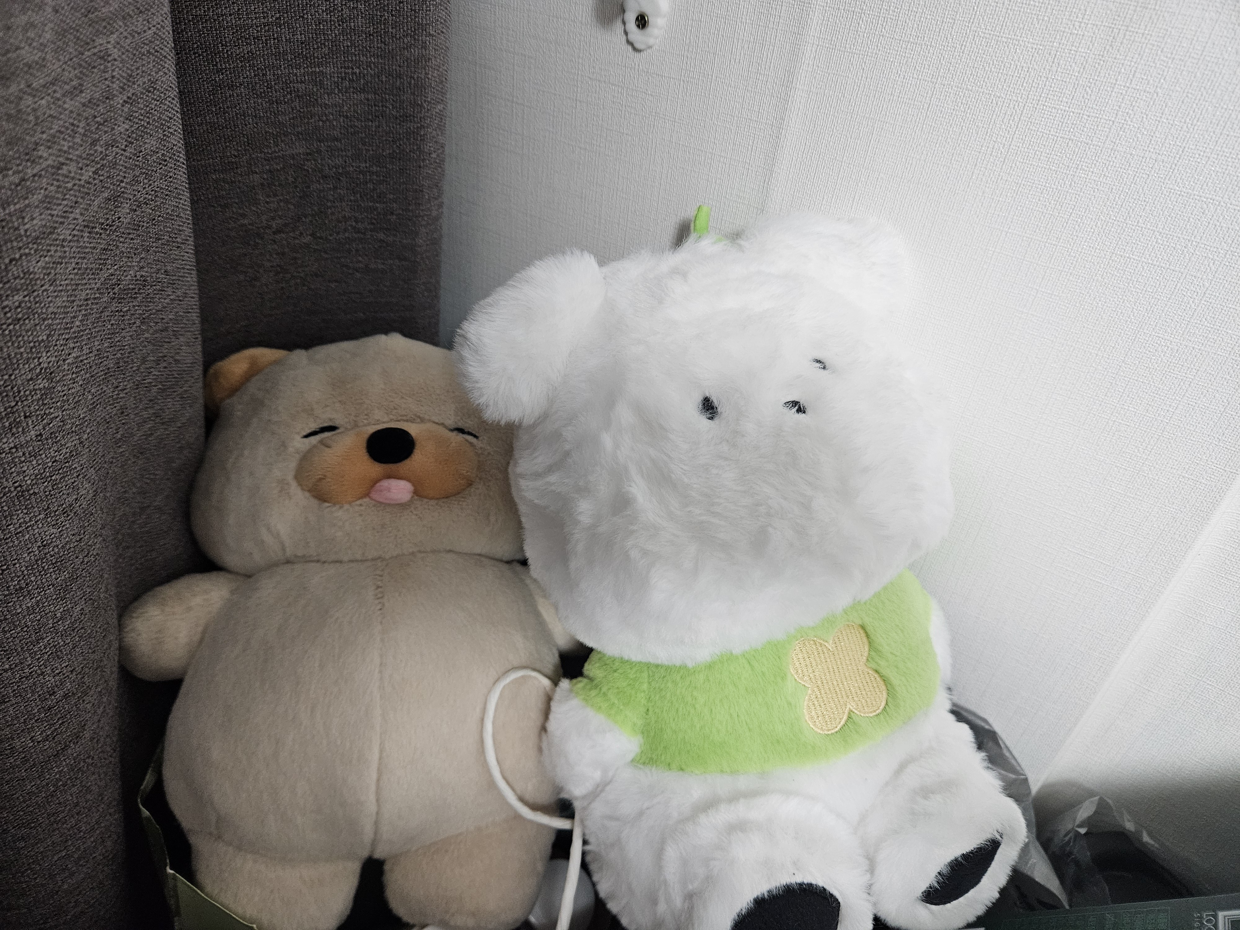 🐸개구리🐸