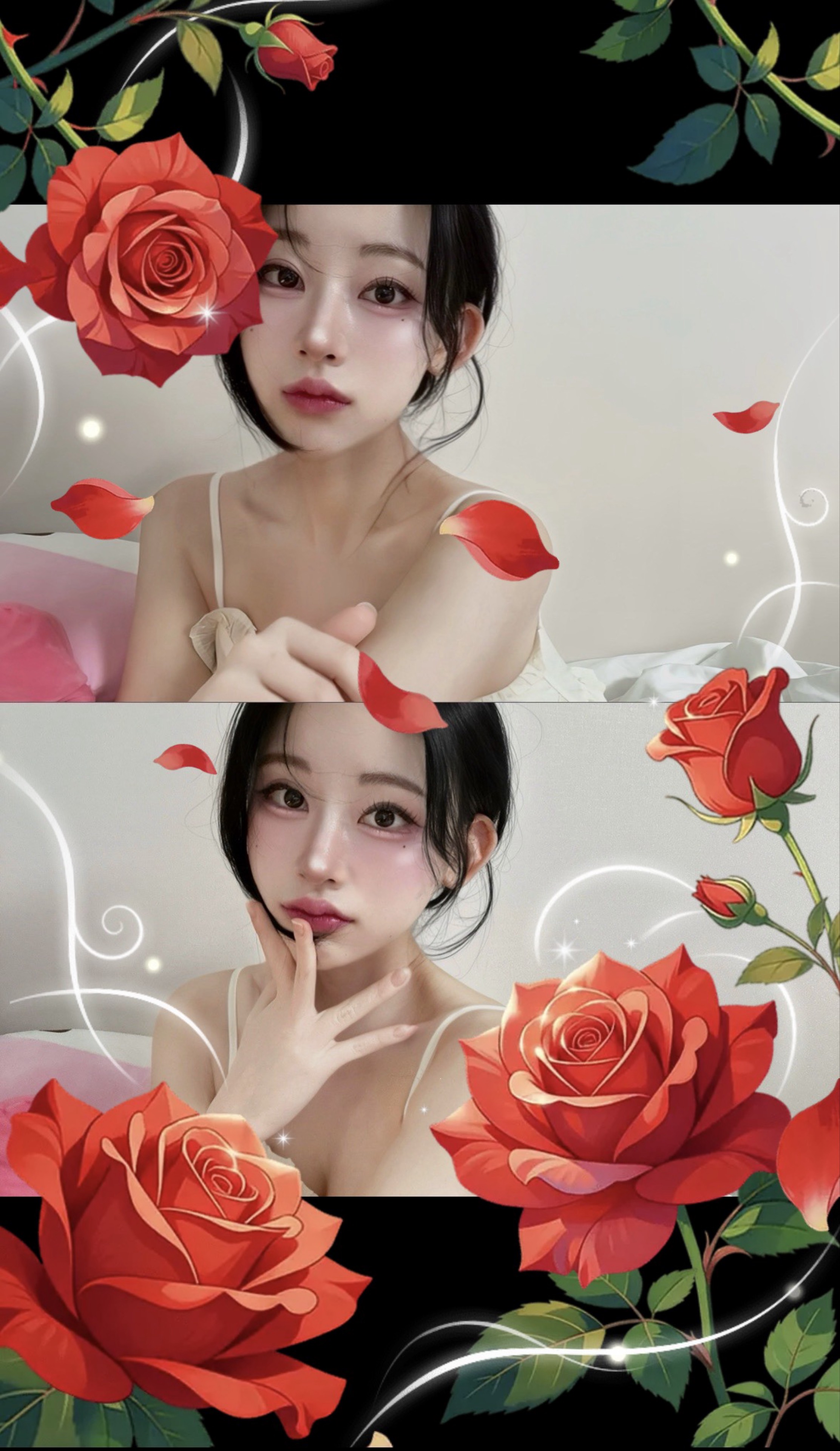 🏮 푸 린 🍶