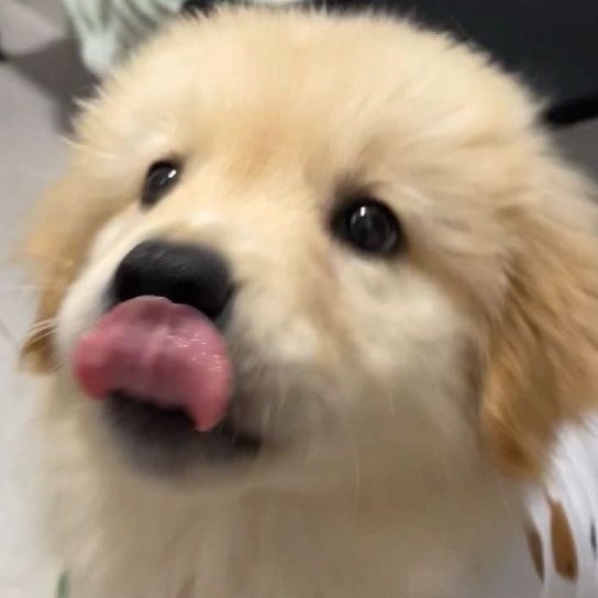 랑 구