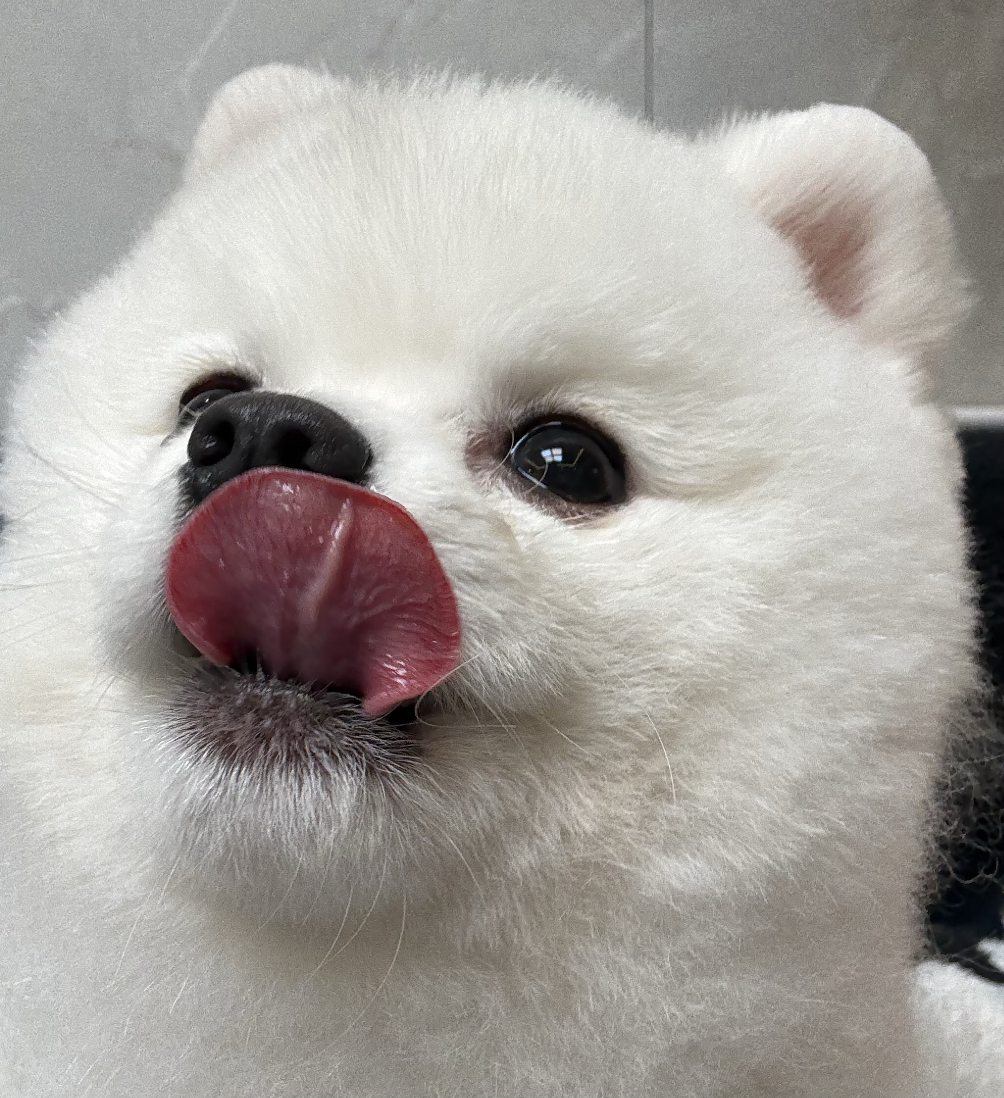 밥｡¹⁰²  100일🎉