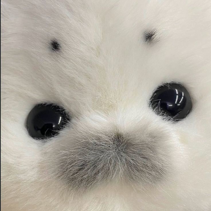 °◦ 아연