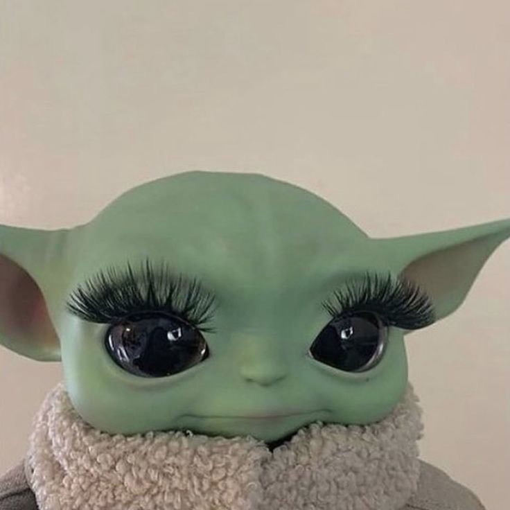 𝙅ᵃˣ 다  인