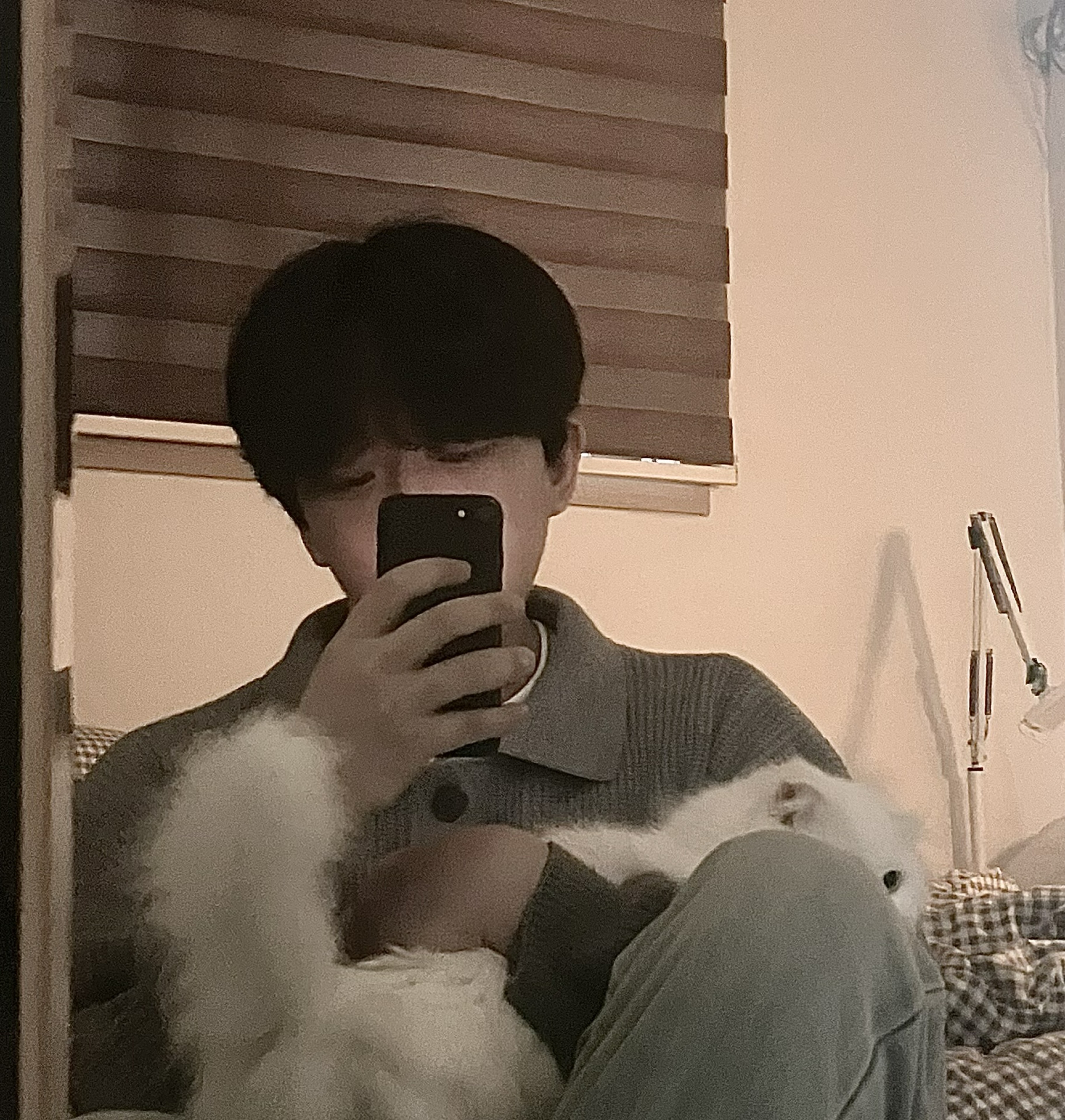 ๐ฎ ํ ๐ญ ๐ถ โพโโบ