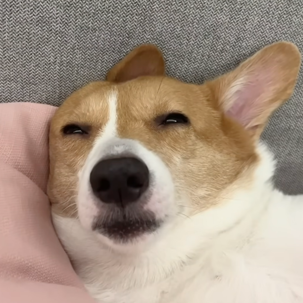 해 주 :