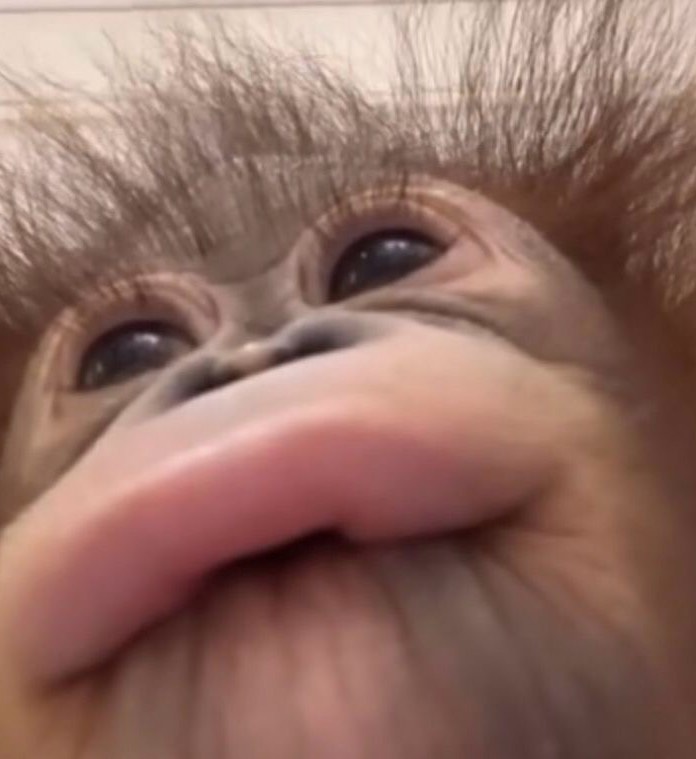 물음표