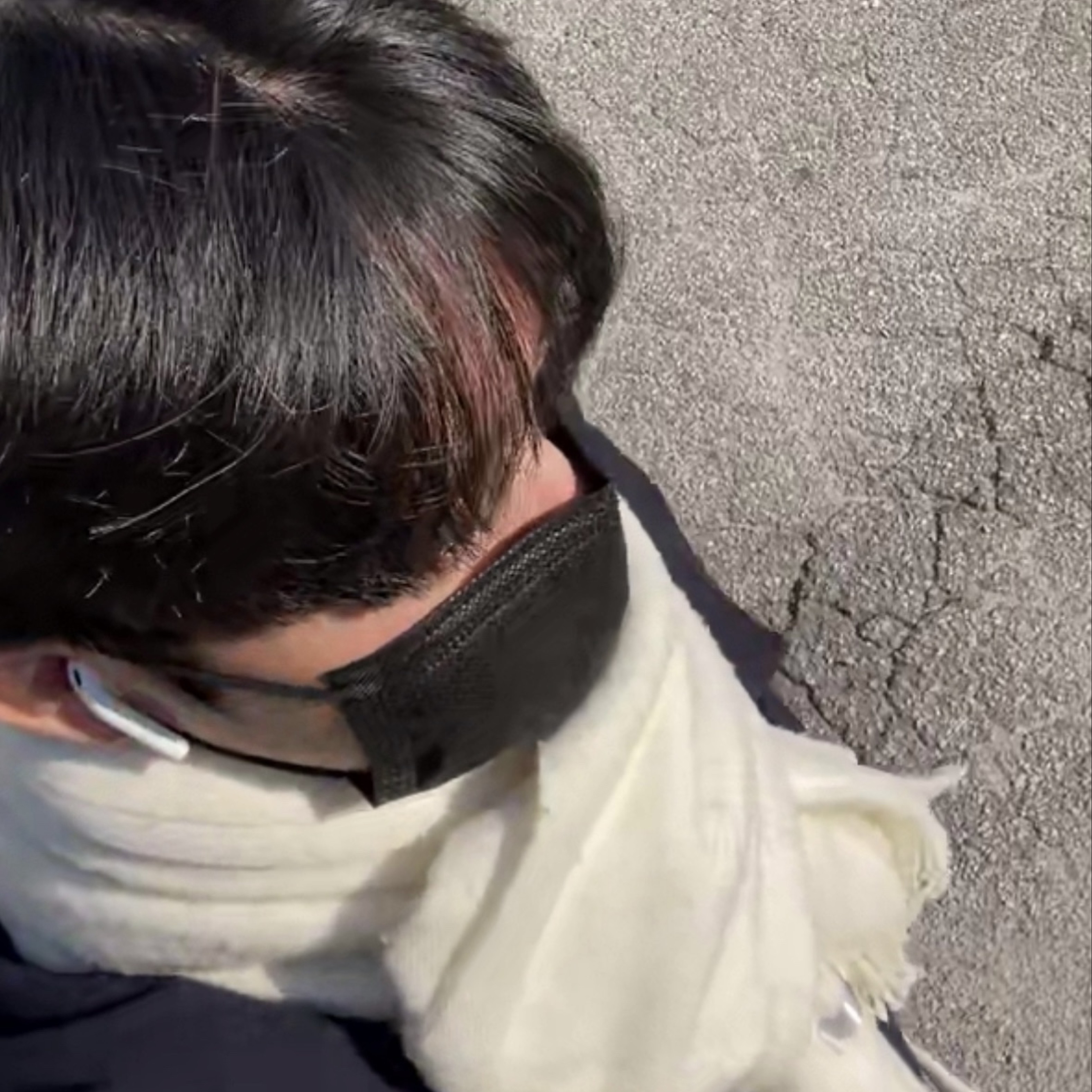 라이징 メ 꿀벌