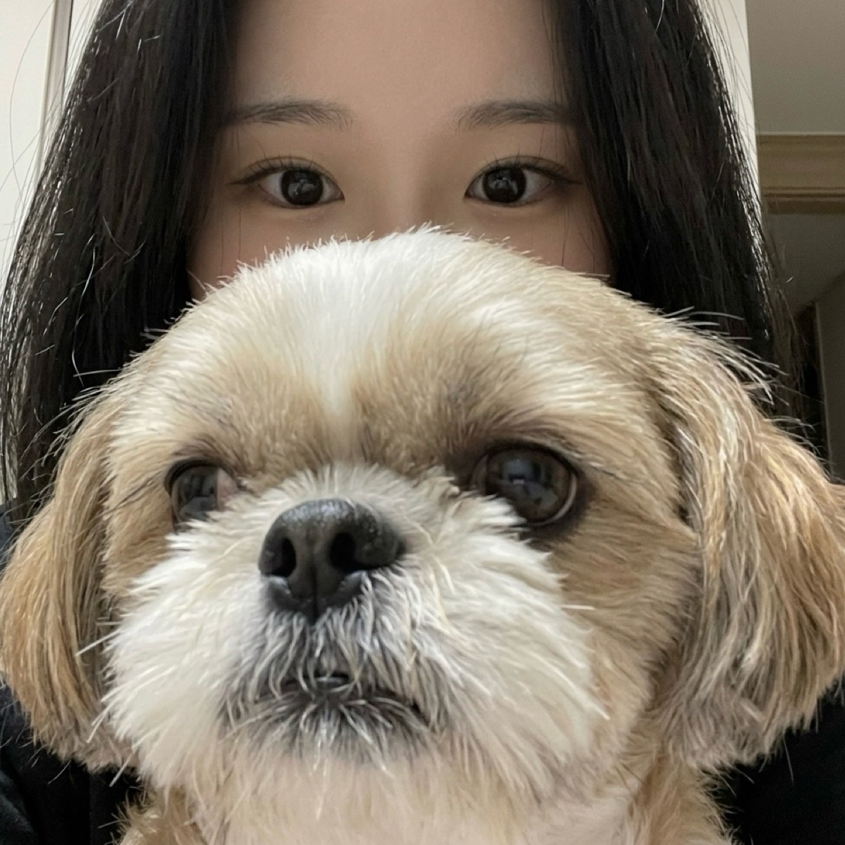🔹솨