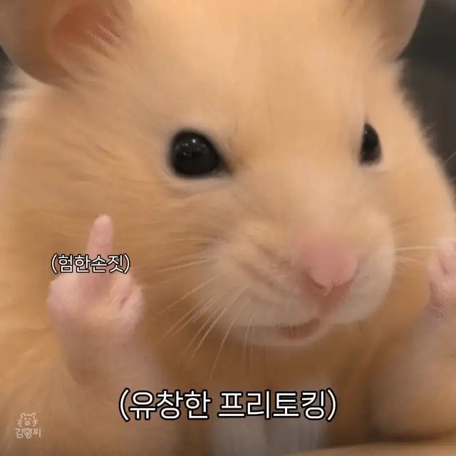𝐓𝐎𝐘