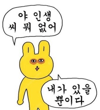 히메 ♄ო+