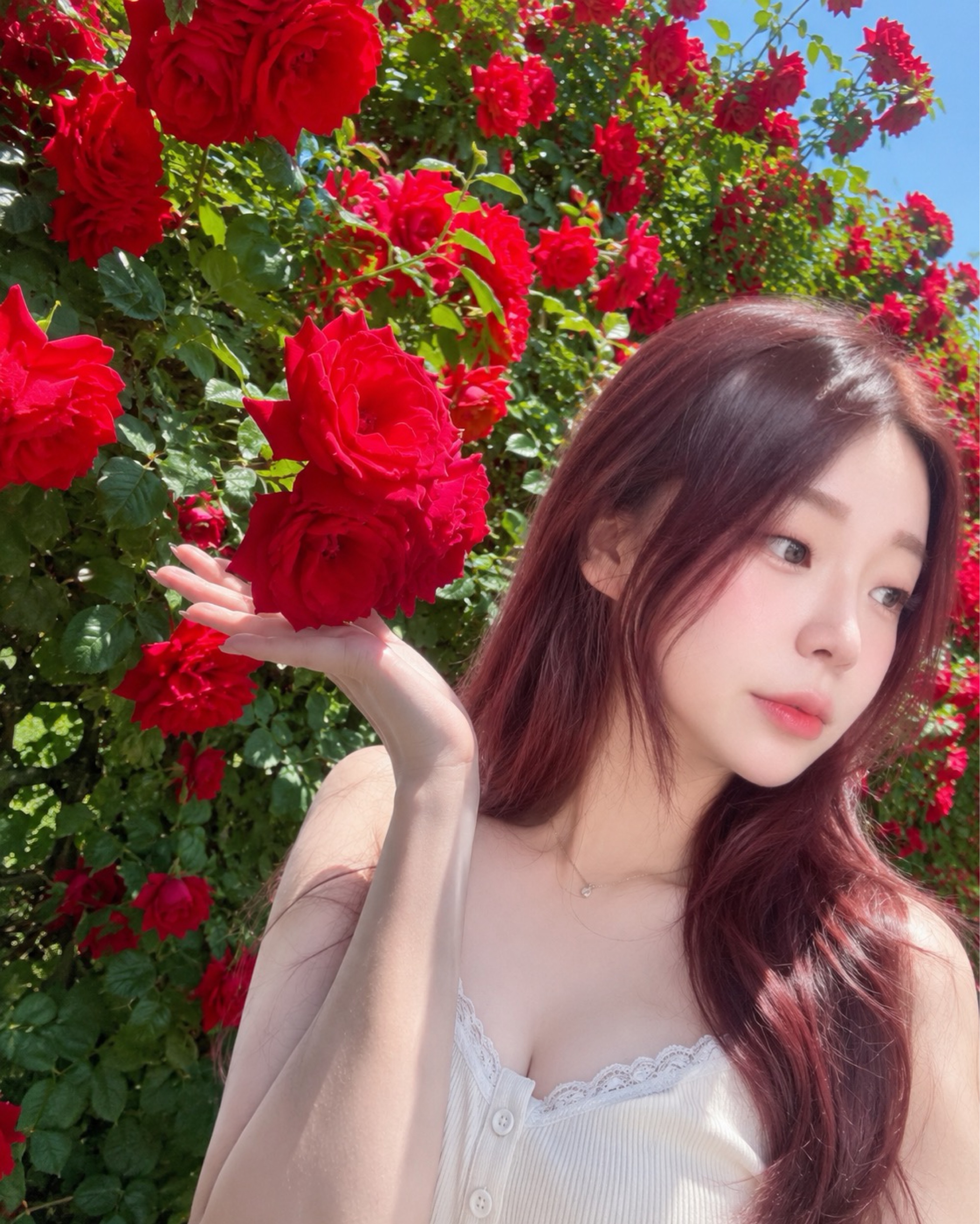 뽱쪼롱
