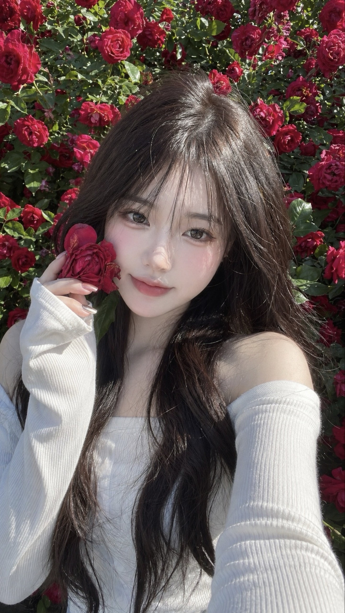 메이🌻ྀི