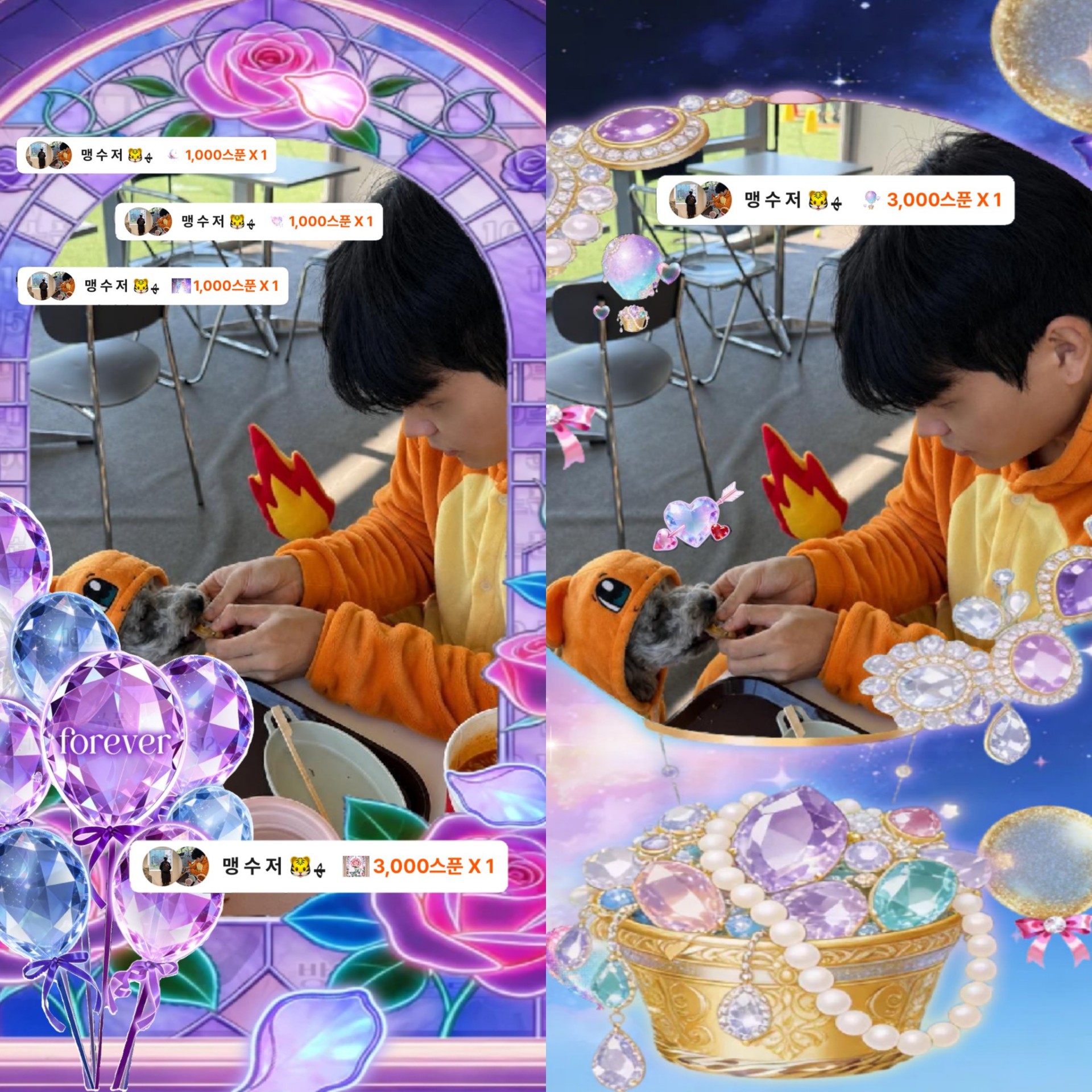 👶🏻 맹 호 🐯ﻬ 🧡