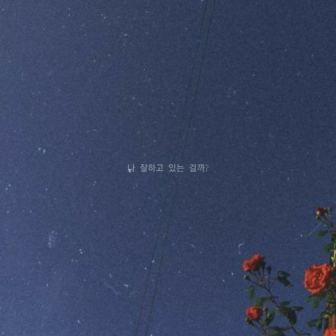 민 +