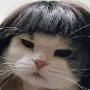 뽀그리 𖧧 