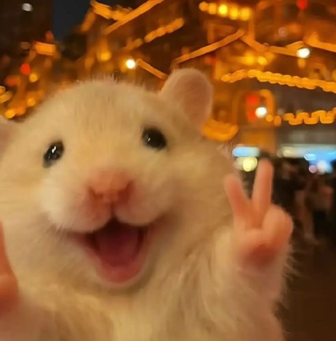 아 현