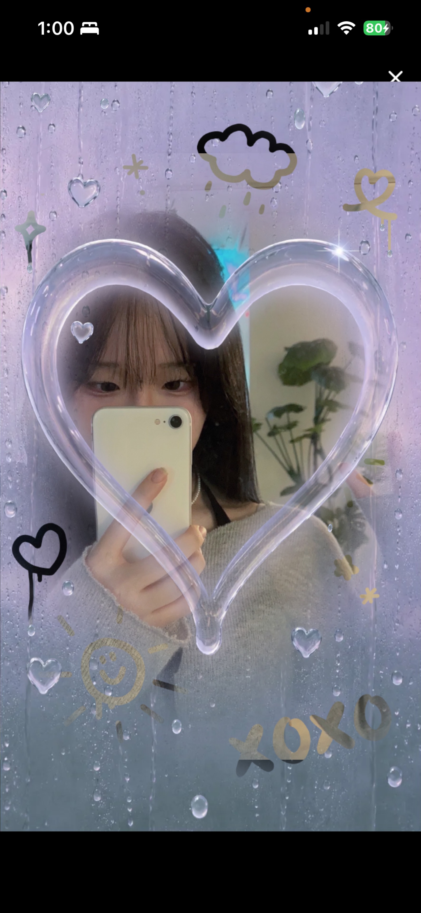 새 하