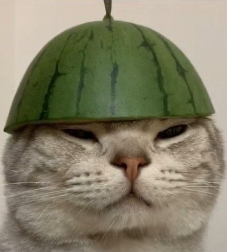 팡이