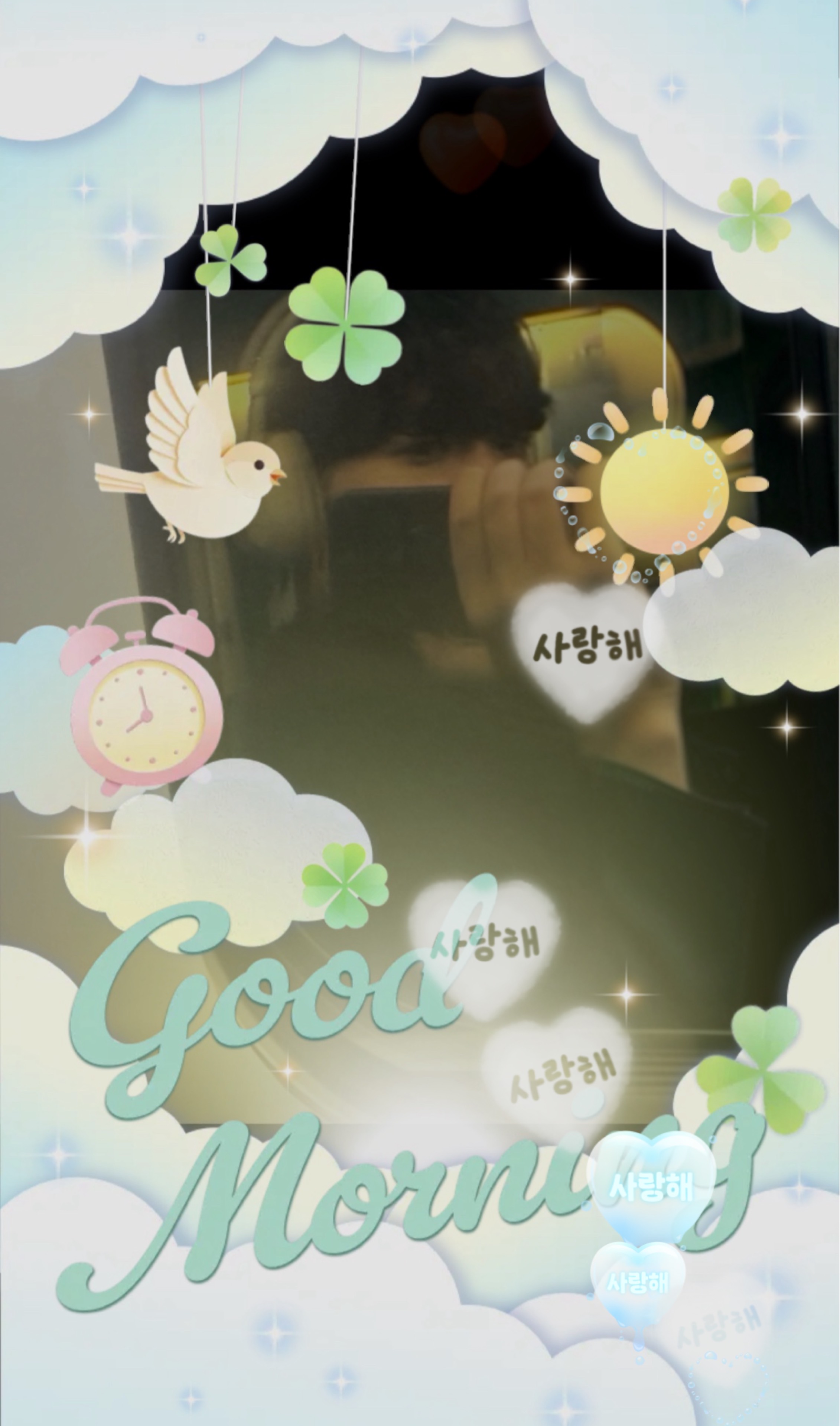 두키 ₊⋆ 𝓓