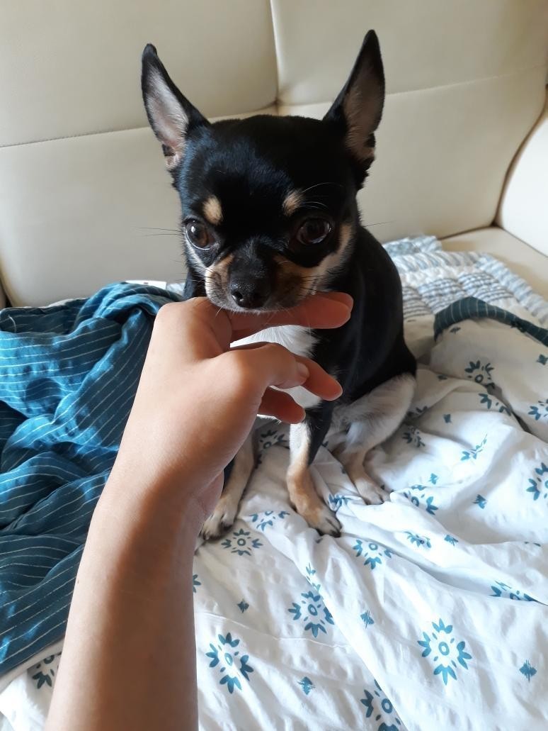 ꤠ 𝑜𝑛. 심해져