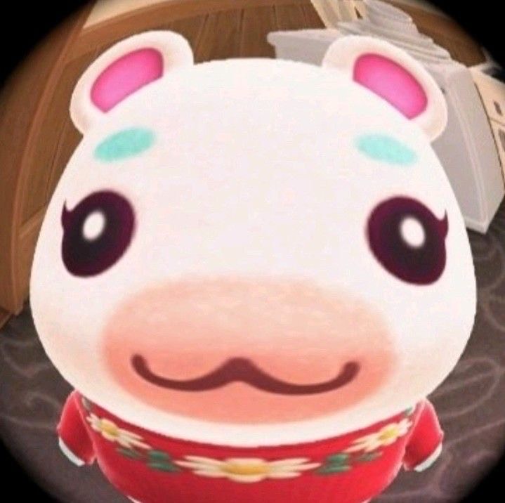 보 예