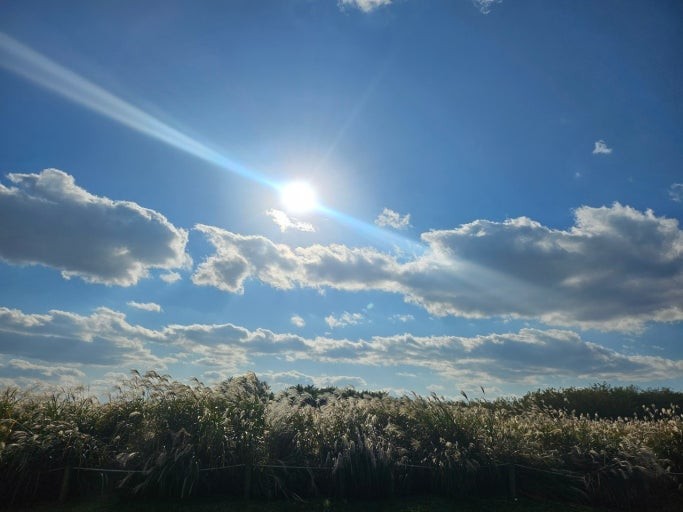 Bluesky