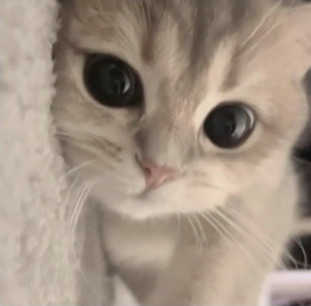 크 림