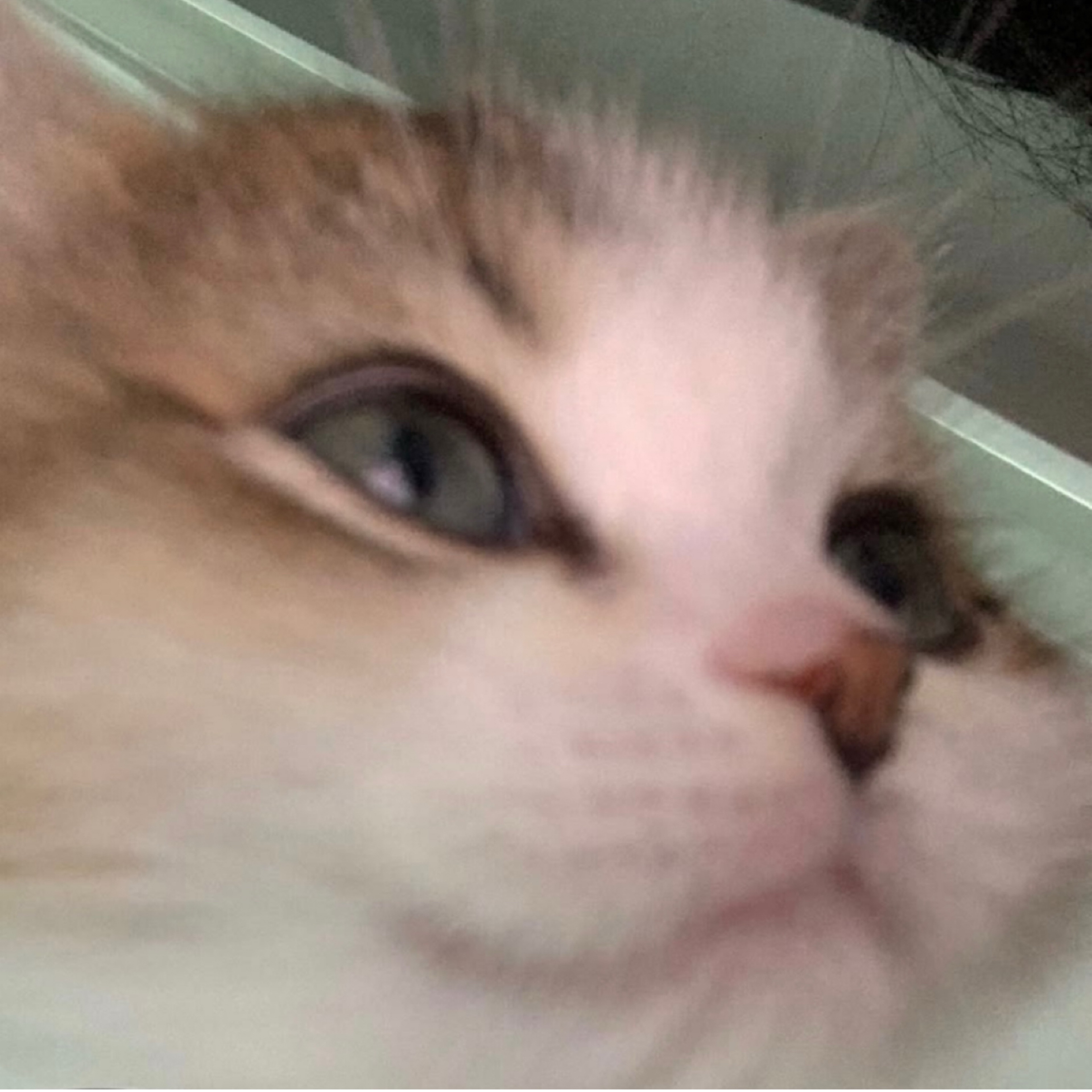 nap