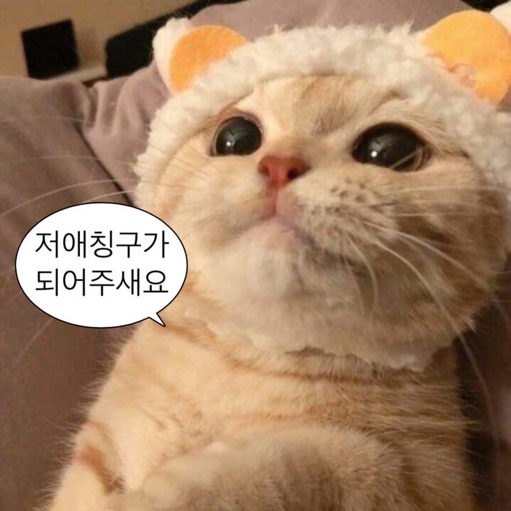 ์๋ชฝ๐ฉโง๐ช