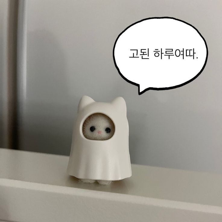 ˗ˏ🌙 다 밍