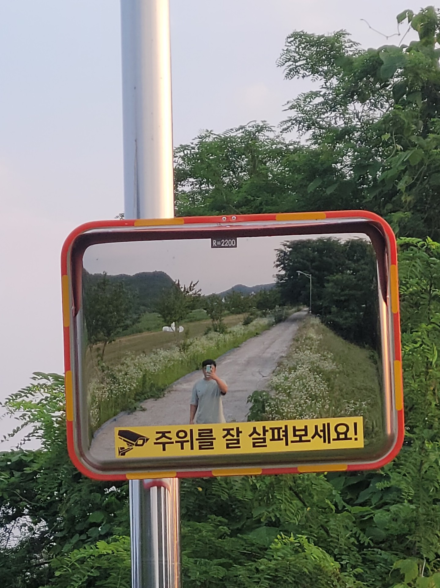 뭘까𓂃.