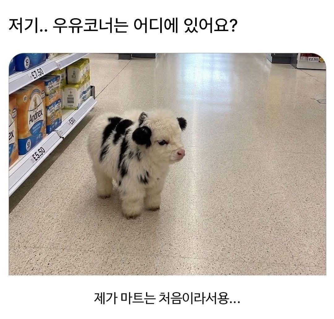 안 결 
