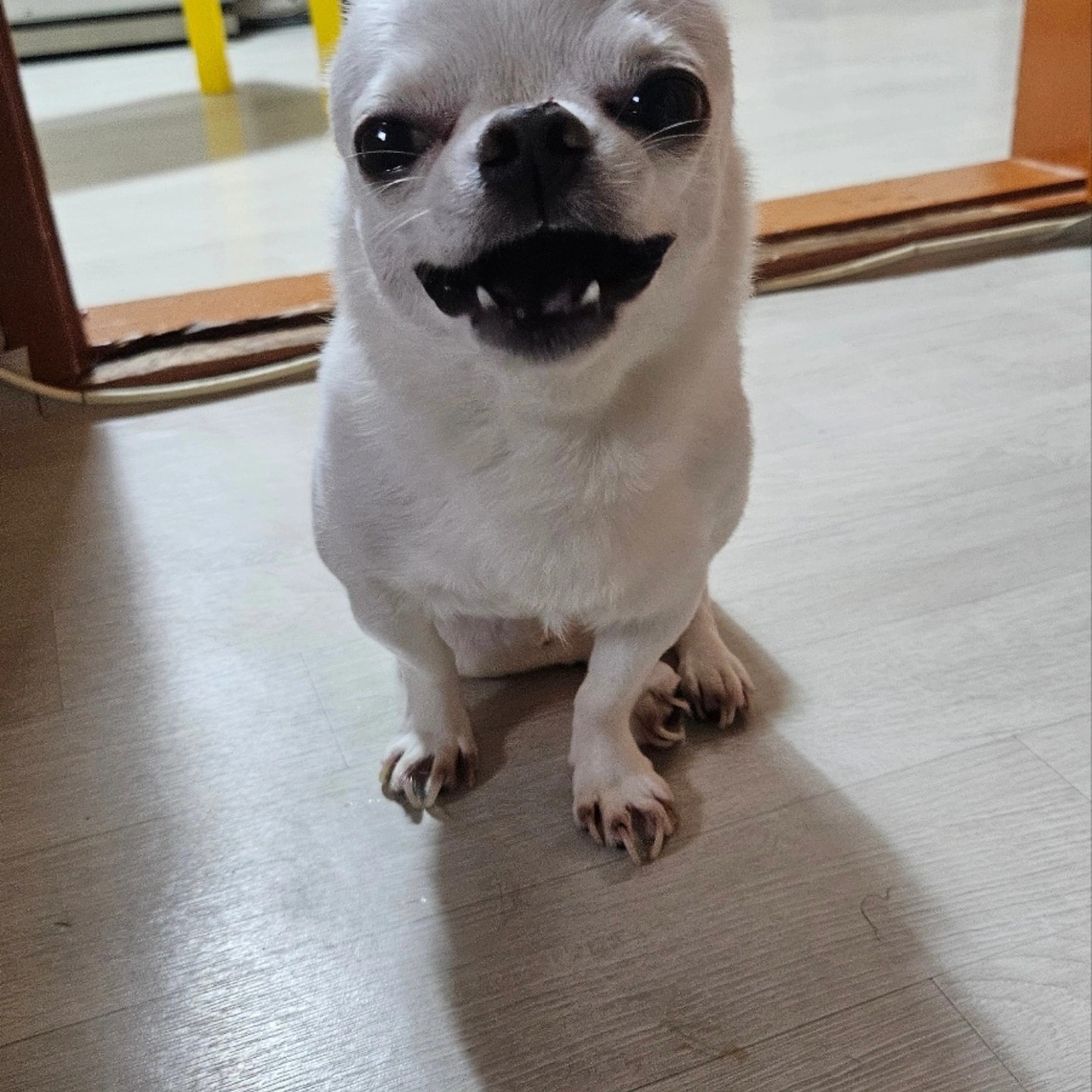 동그라미