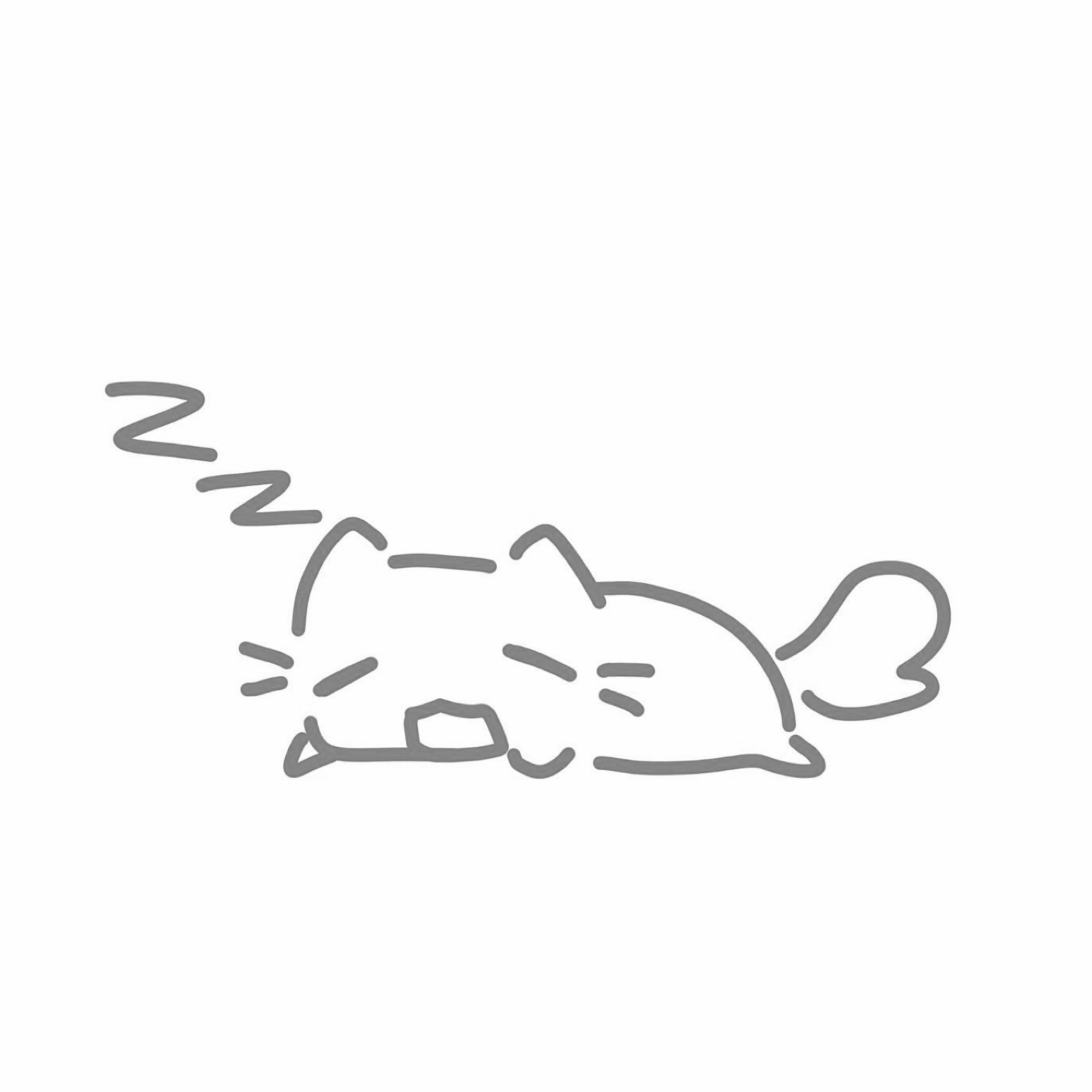 미 료