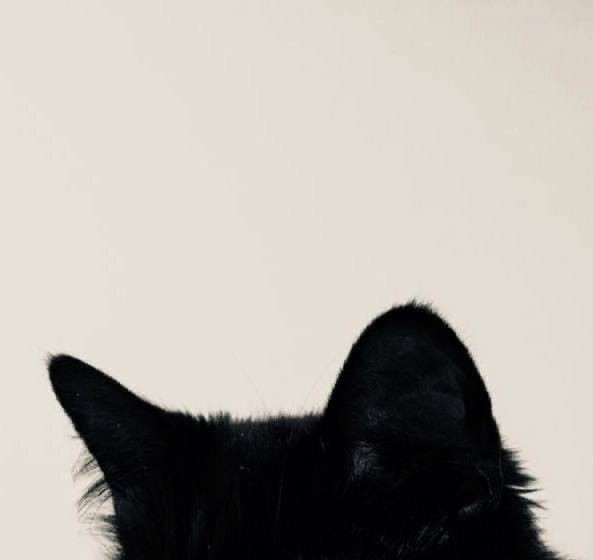 𝙽𝚄𝚂