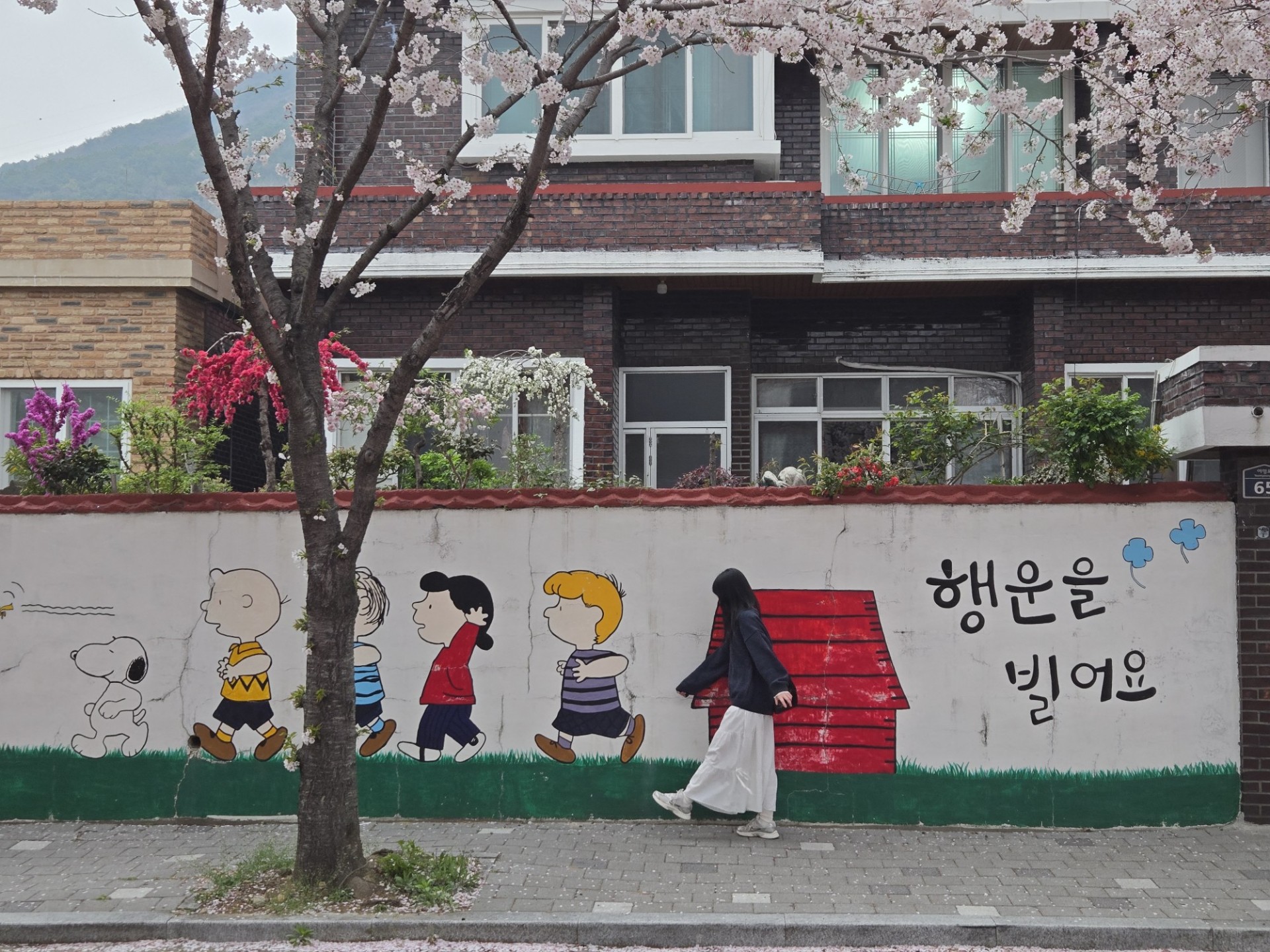 오 하 로