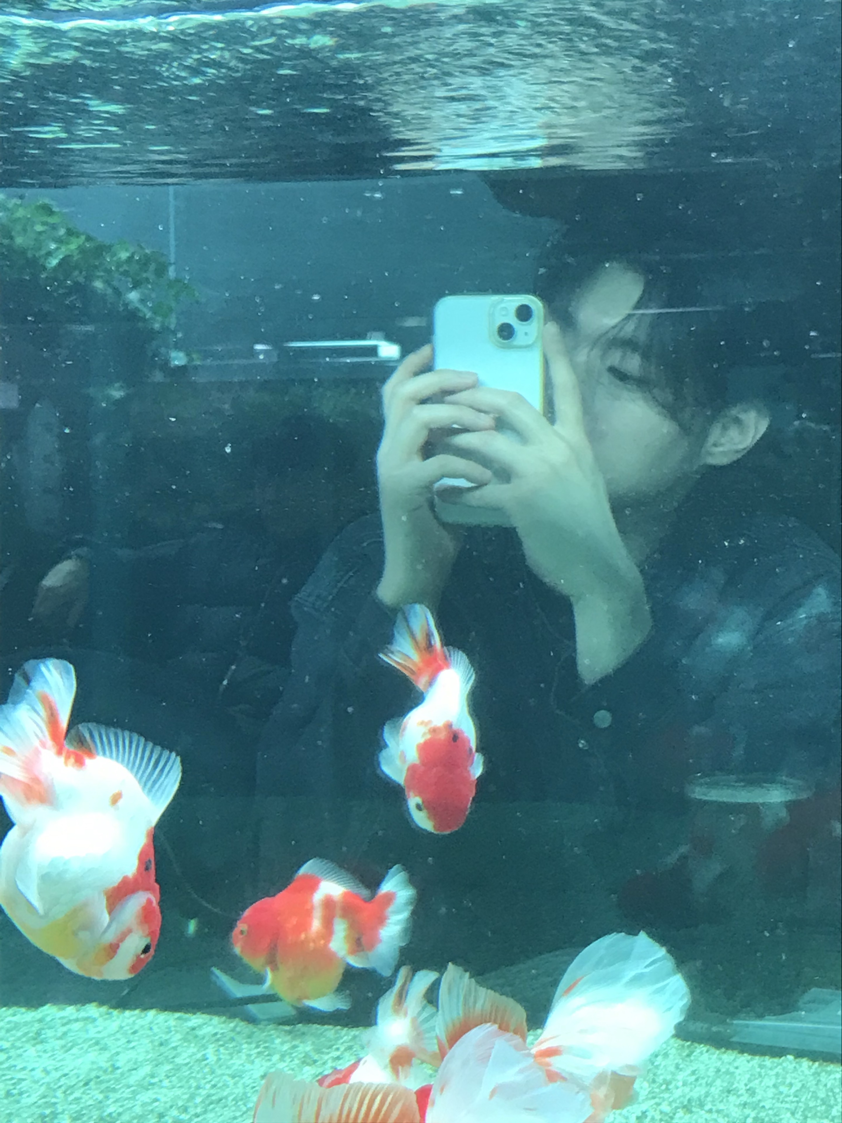 멘 헤 라 _𓆏