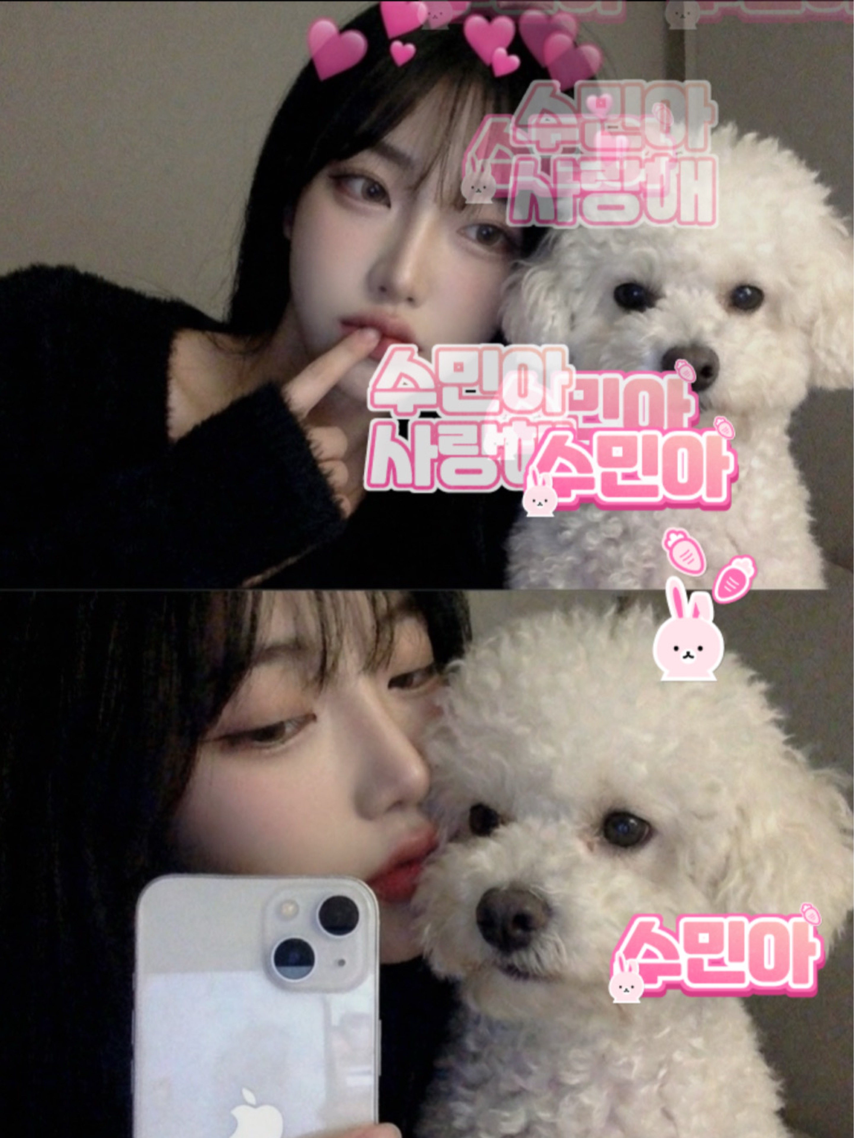 수 