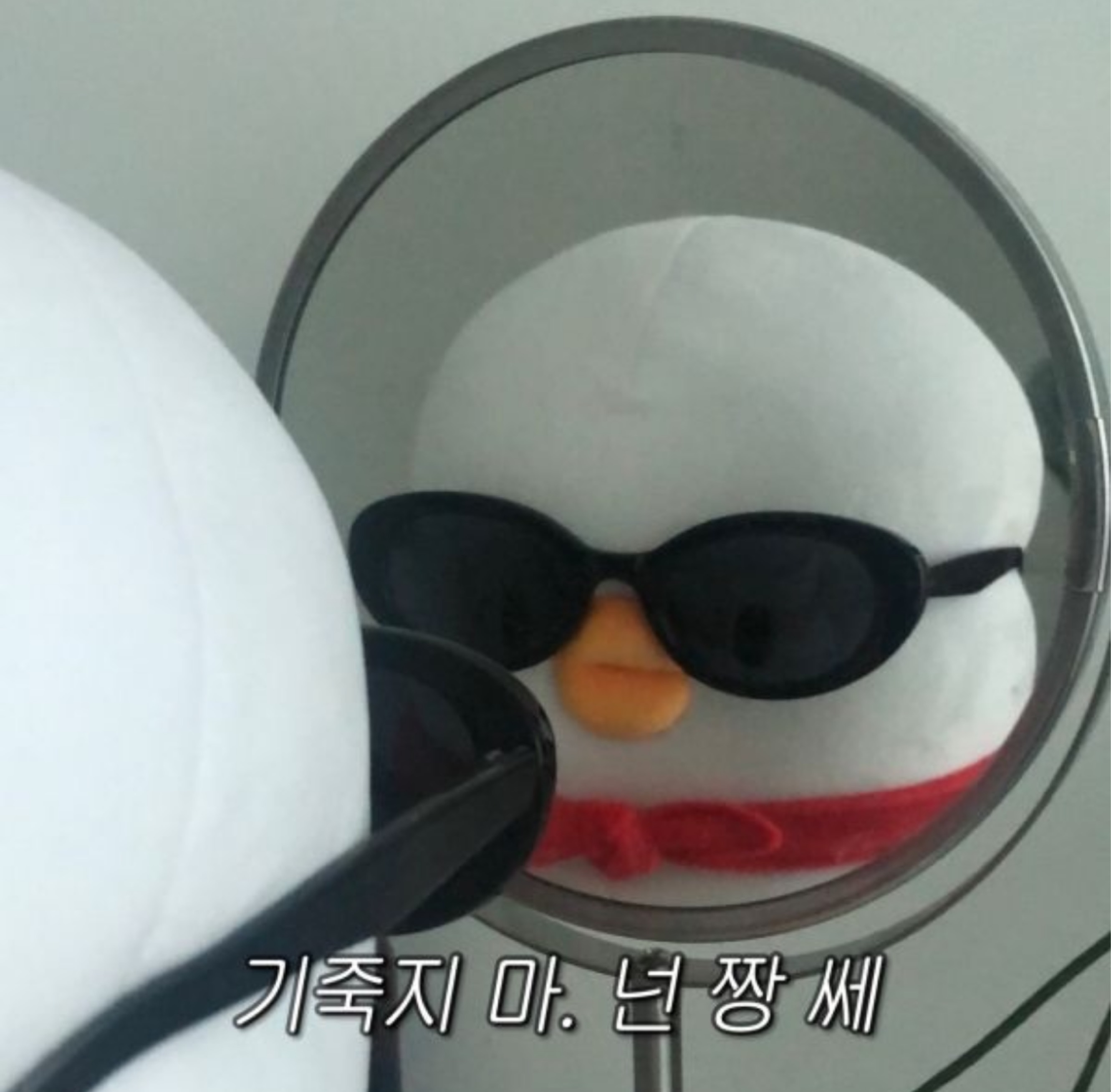 김 토 끼