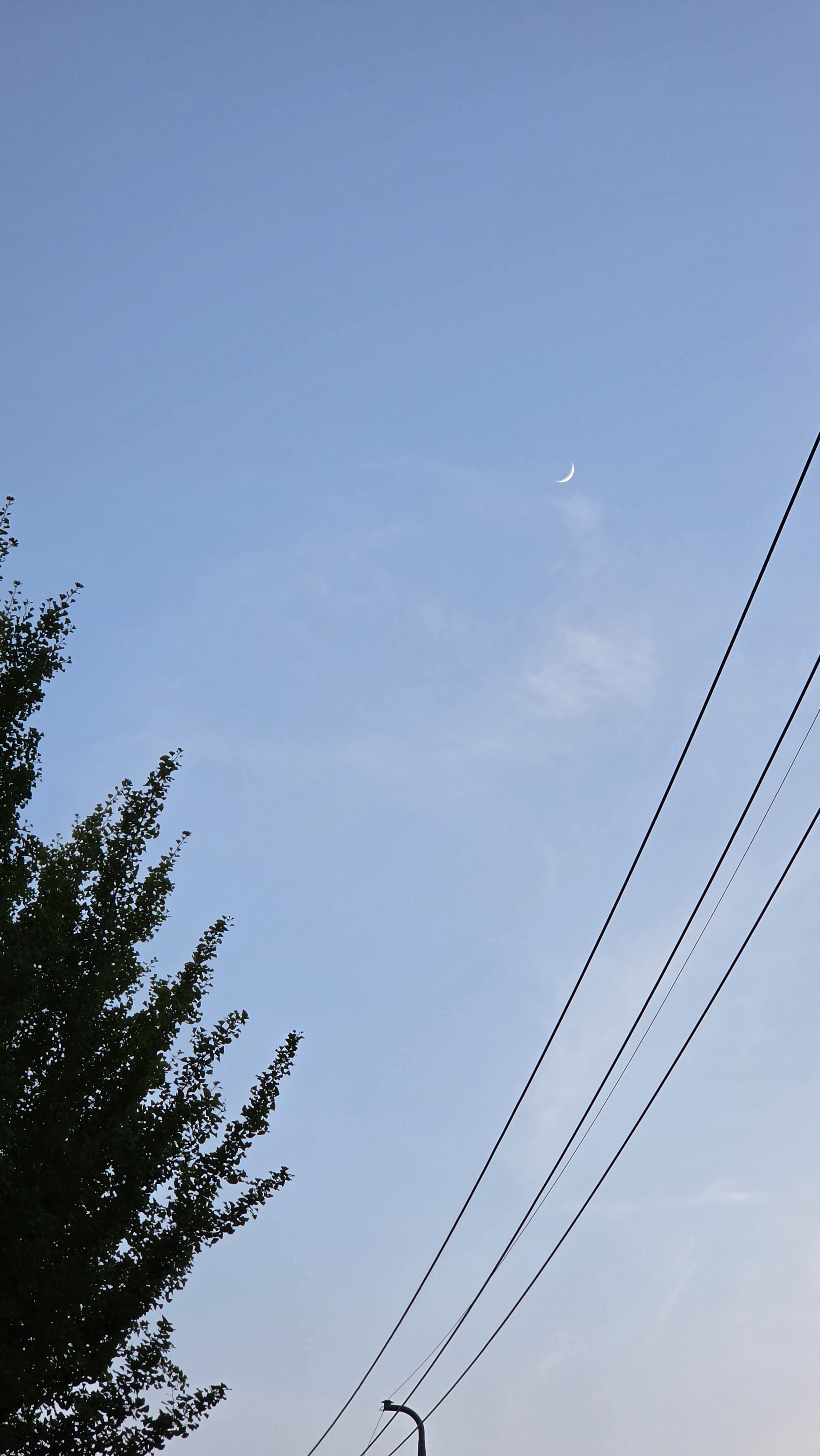 ᵗᵒᵒᵛ ࣪⊹ 아 르 .*
